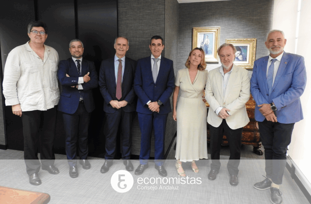 2 plan pensiones autonomos consejo andaluz economistas (2)